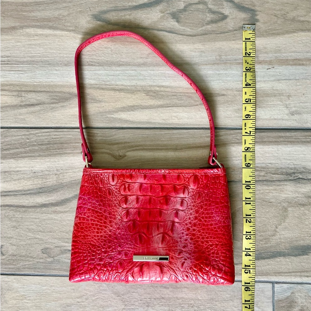 Brahmin - Picture 6 of 7
